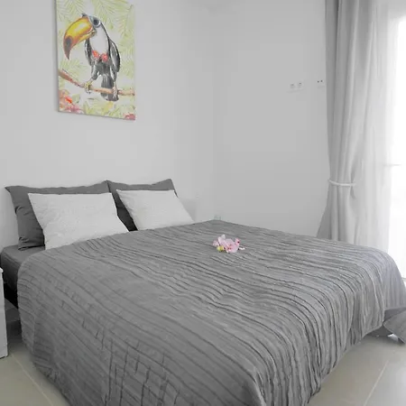 Patricia Playa Blanca (Lanzarote)